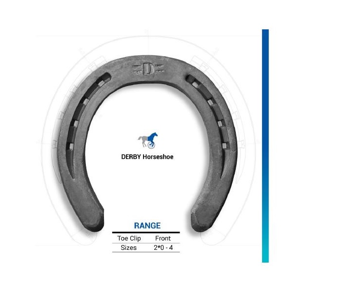 Derby Horseshoes - Image 3