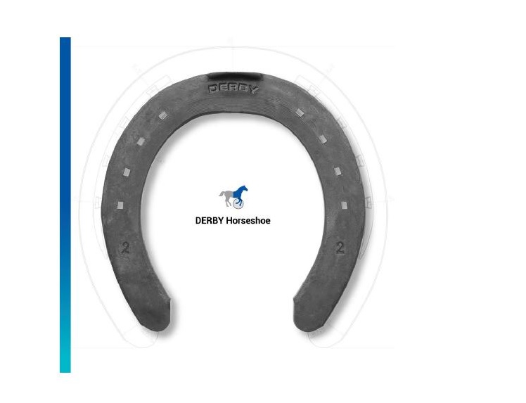 Derby Horseshoes - Image 4